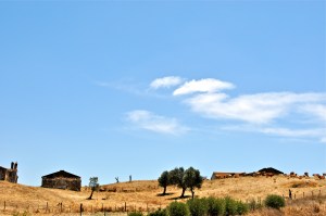 Shots from the side of the road while changing drivers pre-Tavira