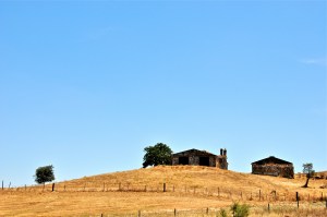 Another pre-Tavira shot