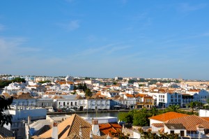 The view from a castle tower