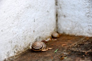 And then I was introduced to some of his friends