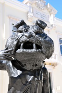 Close-up of the dog-thing