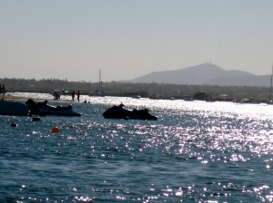 Sun getting low on the horizon