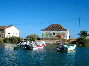 I liked the graffiti as seen on the ride back